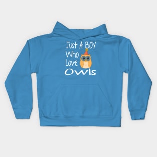 Just A Boy Who Love Owls  Funny Gift Kids Hoodie